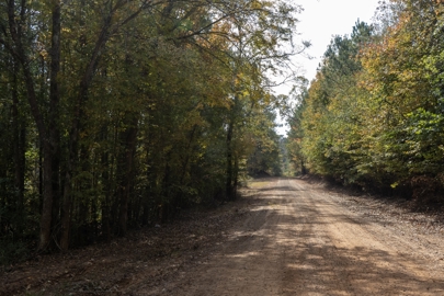 Listing 240