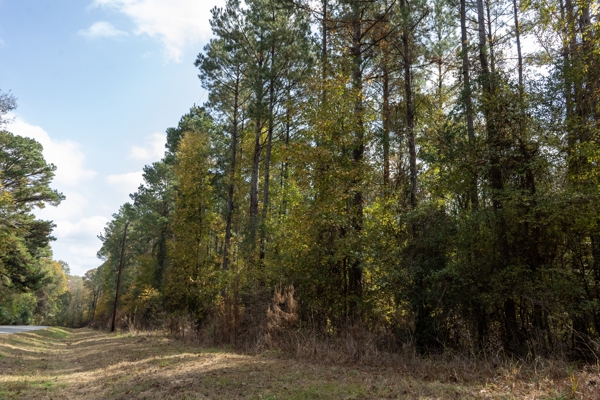 Prime 3.0 Acre Lot for Sale in Ruston, LA