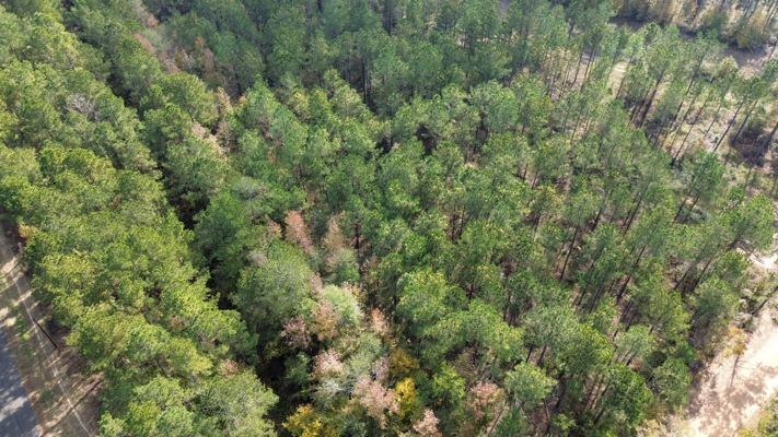 Prime 3.0 Acre Lot for Sale in Ruston, LA