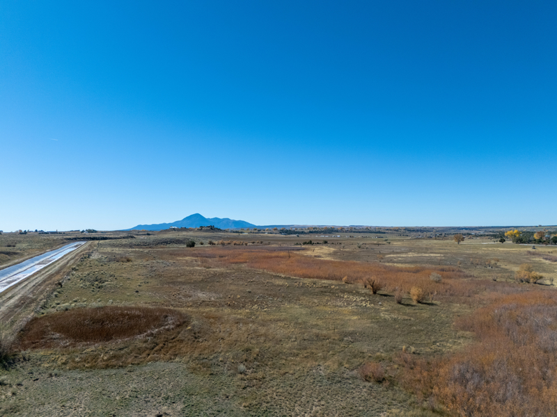 No Caption