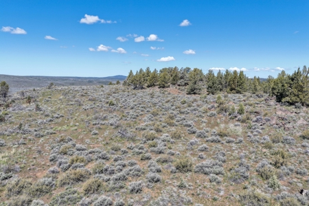 Eastern Oregon Willow Creek Estate - image 42