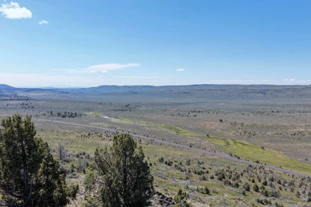 Eastern Oregon Willow Creek Estate - image 43