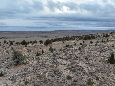 Eastern Oregon Willow Creek Estate - image 40