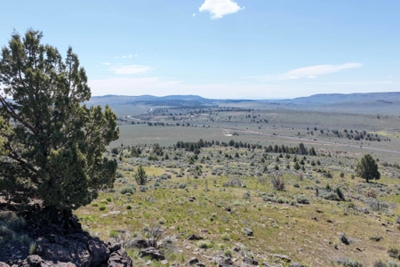 Eastern Oregon Willow Creek Estate - image 40