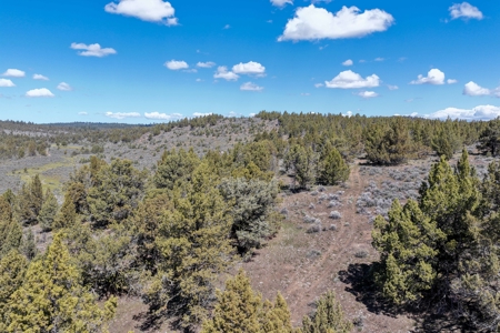 Eastern Oregon Willow Creek Estate - image 46