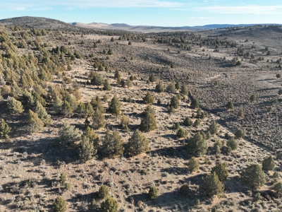 Eastern Oregon Willow Creek Estate - image 45