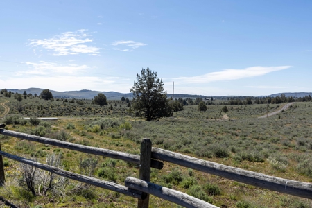 Eastern Oregon Willow Creek Estate - image 34