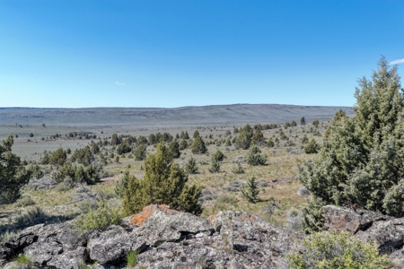 Eastern Oregon Willow Creek Estate - image 39