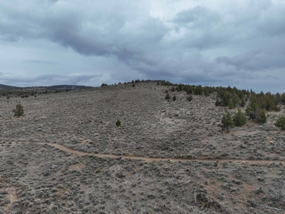 Eastern Oregon Willow Creek Estate - image 32