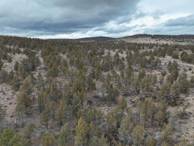 Eastern Oregon Willow Creek Estate - image 31