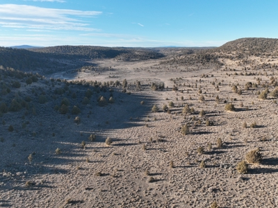 Eastern Oregon Willow Creek Estate - image 43