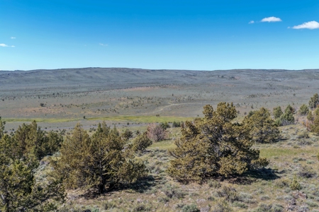 Eastern Oregon Willow Creek Estate - image 41