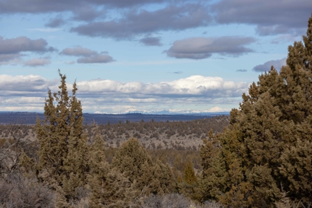 Eastern Oregon Willow Creek Estate - image 49