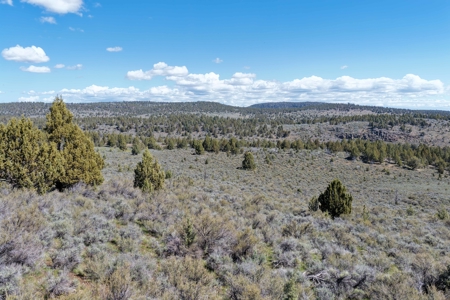 Eastern Oregon Willow Creek Estate - image 44