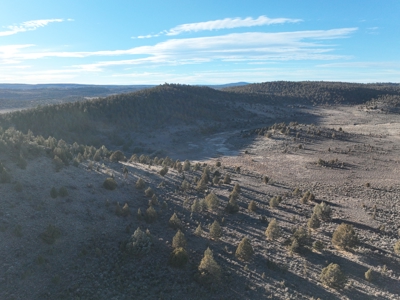 Eastern Oregon Willow Creek Estate - image 44