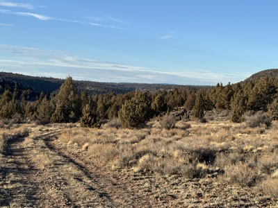 Eastern Oregon Willow Creek Estate - image 48