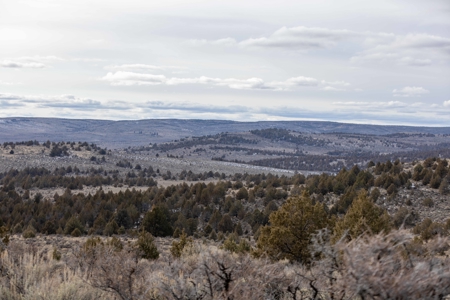 Eastern Oregon Willow Creek Estate - image 50