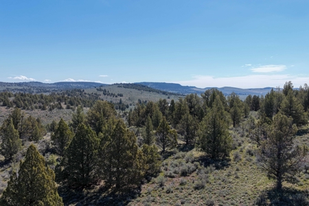 Eastern Oregon Willow Creek Estate - image 45