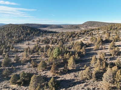 Eastern Oregon Willow Creek Estate - image 42