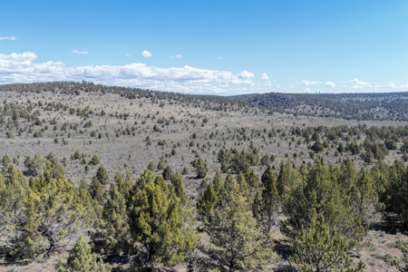 Eastern Oregon Willow Creek Estate - image 47