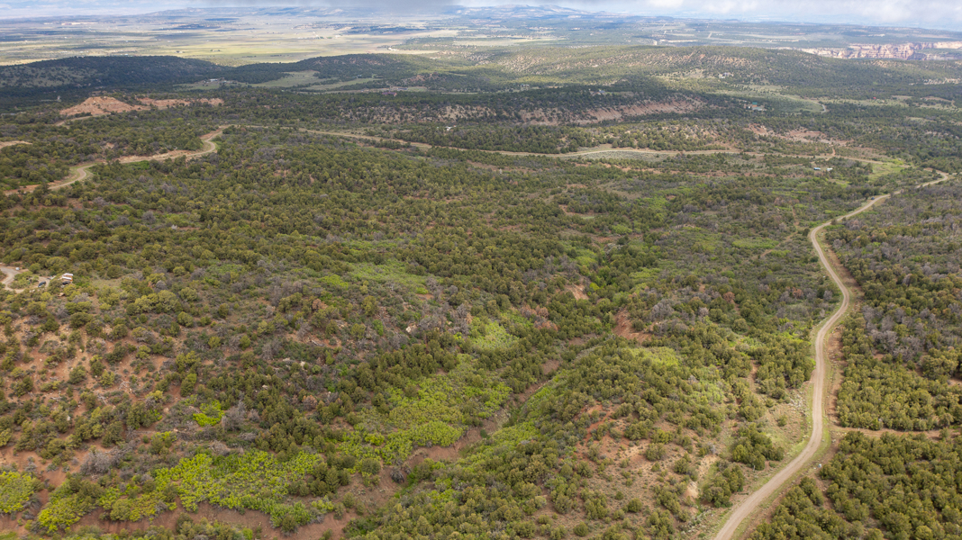 No Caption