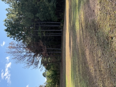 Land for sale at 301 First St, Atlanta, TX - image 1