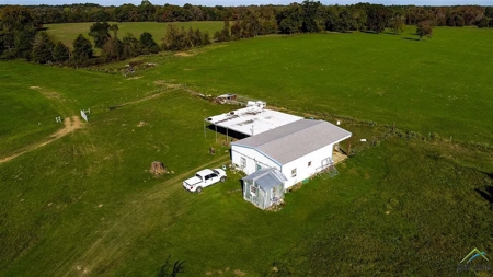 168 acre Poultry Farm with Large Executive Home - image 2