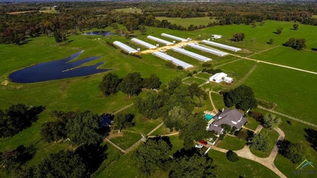 168 acre Poultry Farm with Large Executive Home - image 15