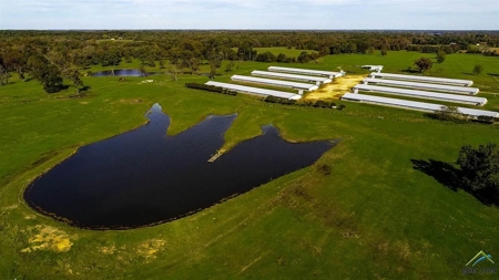 168 acre Poultry Farm with Large Executive Home - image 1