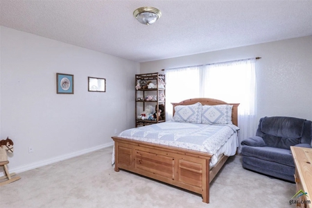 168 acre Poultry Farm with Large Executive Home - image 3