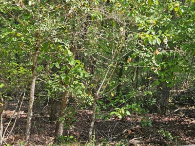 Build Your Dream Home Near Bull Shoals Lake & Golf Course - image 3