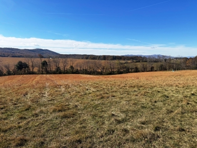 Farm Land For Sale In Wythe County VA - image 15