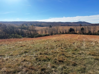 Farm Land For Sale In Wythe County VA - image 16