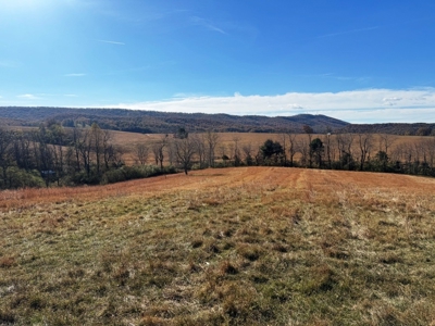 Farm Land For Sale In Wythe County VA - image 17