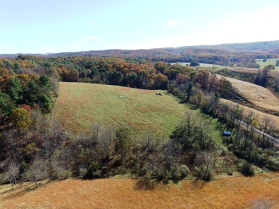 Farm Land For Sale In Wythe County VA - image 14