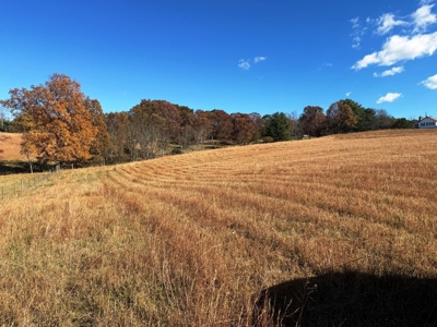 Farm Land For Sale In Wythe County VA - image 21