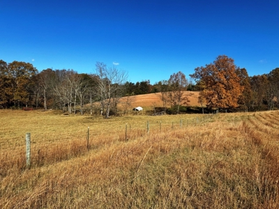 Farm Land For Sale In Wythe County VA - image 19