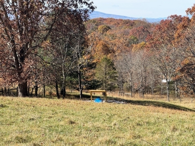 Farm Land For Sale In Wythe County VA - image 27