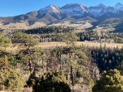 Wilson Mesa Home & Shop for Sale in Ridgway, Colorado - image 33