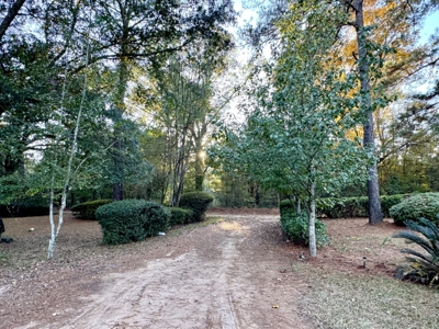 🌲 Two Homes On One Acre — Country Living Off Hwy 2! 🌲 - image 29