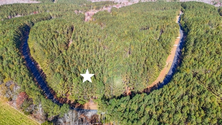 Corner Lot For Sale in Riverfront Community- Cleveland Co. NC - image 5