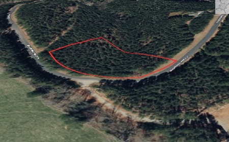 Corner Lot For Sale in Riverfront Community- Cleveland Co. NC - image 3