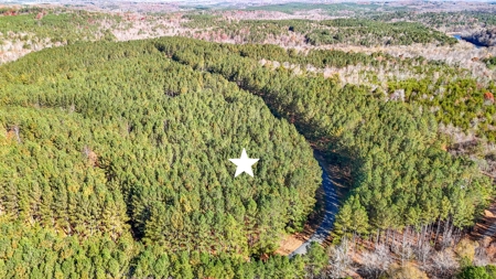 Corner Lot For Sale in Riverfront Community- Cleveland Co. NC - image 10