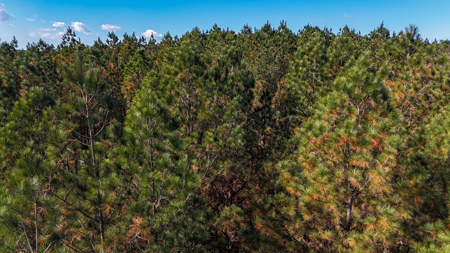 Corner Lot For Sale in Riverfront Community- Cleveland Co. NC - image 14