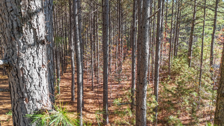 Corner Lot For Sale in Riverfront Community- Cleveland Co. NC - image 17