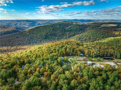 Mountain Property Home/Retreat on 18 Private Acres Newton County - image 18