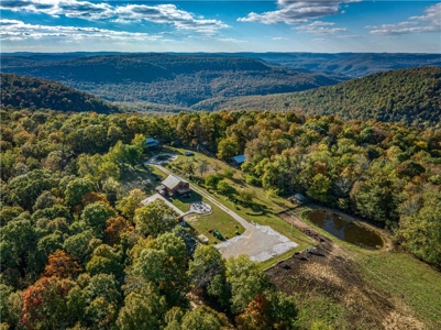 Mountain Property Home/Retreat on 18 Private Acres Newton County - image 14