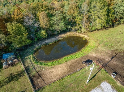 Mountain Property Home/Retreat on 18 Private Acres Newton County - image 16