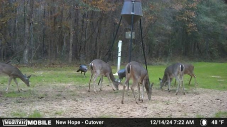 The Brushy Creek 133 - Amite County, Mississippi Retreat - image 40