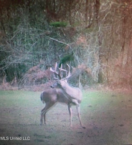 The Brushy Creek 133 - Amite County, Mississippi Retreat - image 41